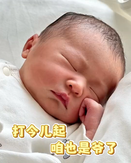 篮板, 邹阳上赛季