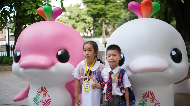 为保障十五 为保障十五