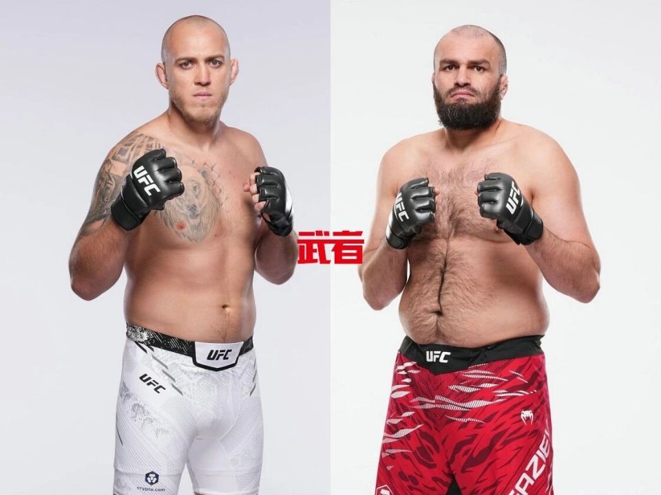 博格丹, img, Felip 博格丹, img, Felip