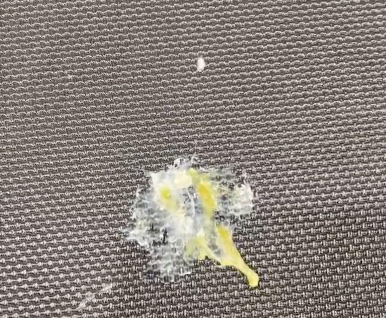 由于有工作, 鸟为